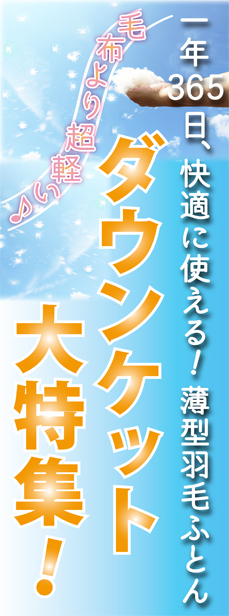 おすすめダウンケット大特集