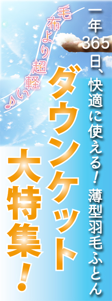 夏でも冬でも快眠できるダウンケット。おすすめです。