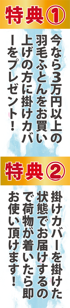 羽毛布団お買い上げの方に掛けカバーを差し上げます。