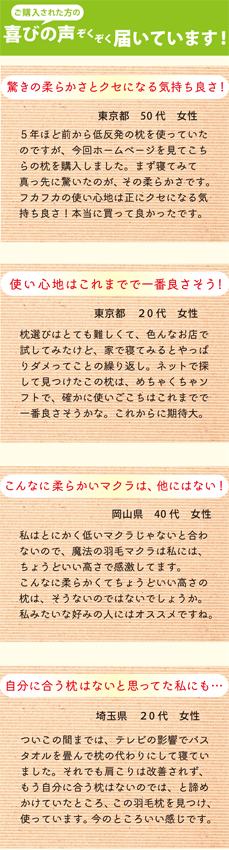 手づくり羽毛工房いい寝の羽毛枕購入者の声