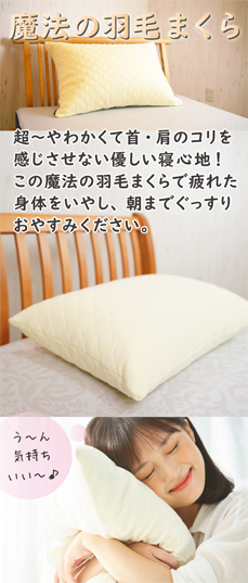 魔法の羽毛枕、おすすめです。