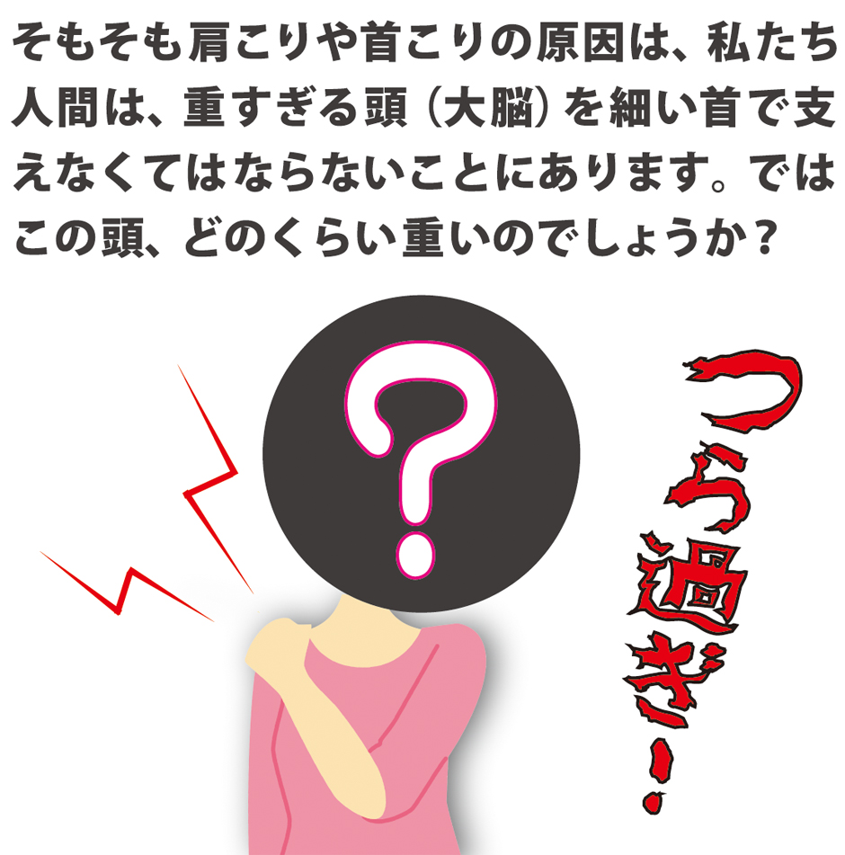 肩こりや首こりの原因は重い頭を細い首で支えなくてはならないことにあります。