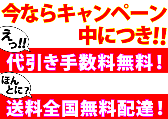 代引き手数料無料、送料無料キャンペーン