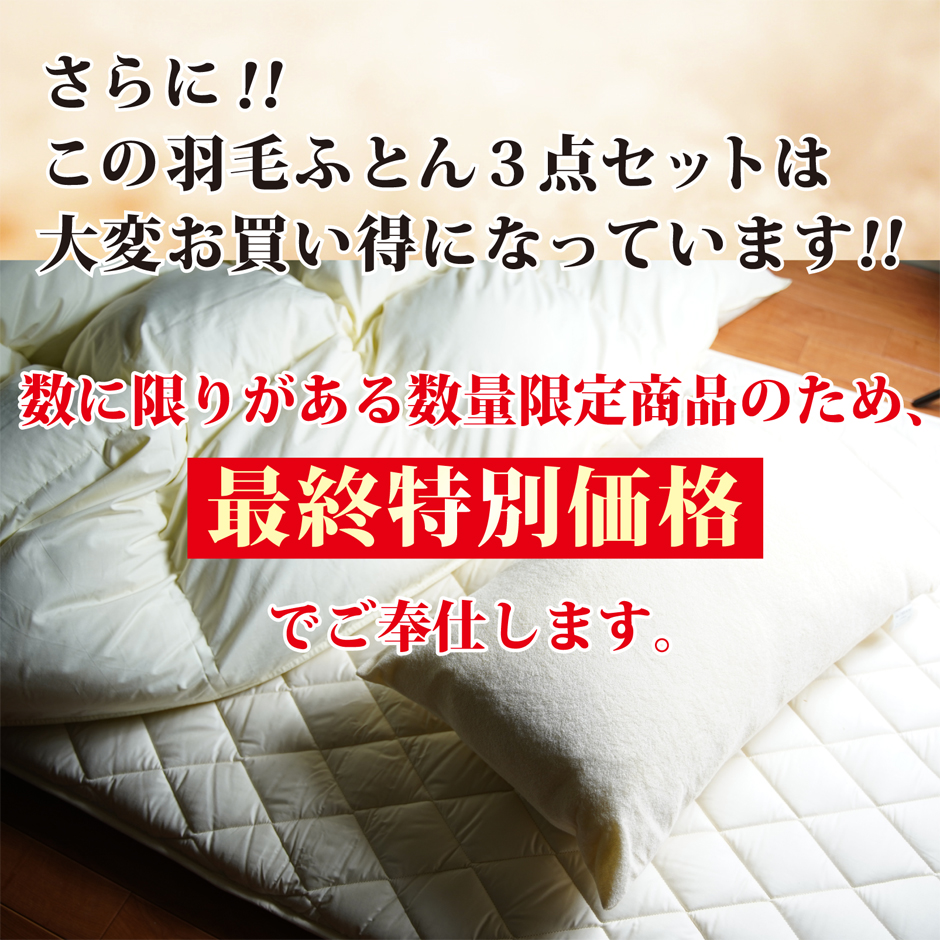 羽毛布団3点セット数量限定特別価格でご奉仕