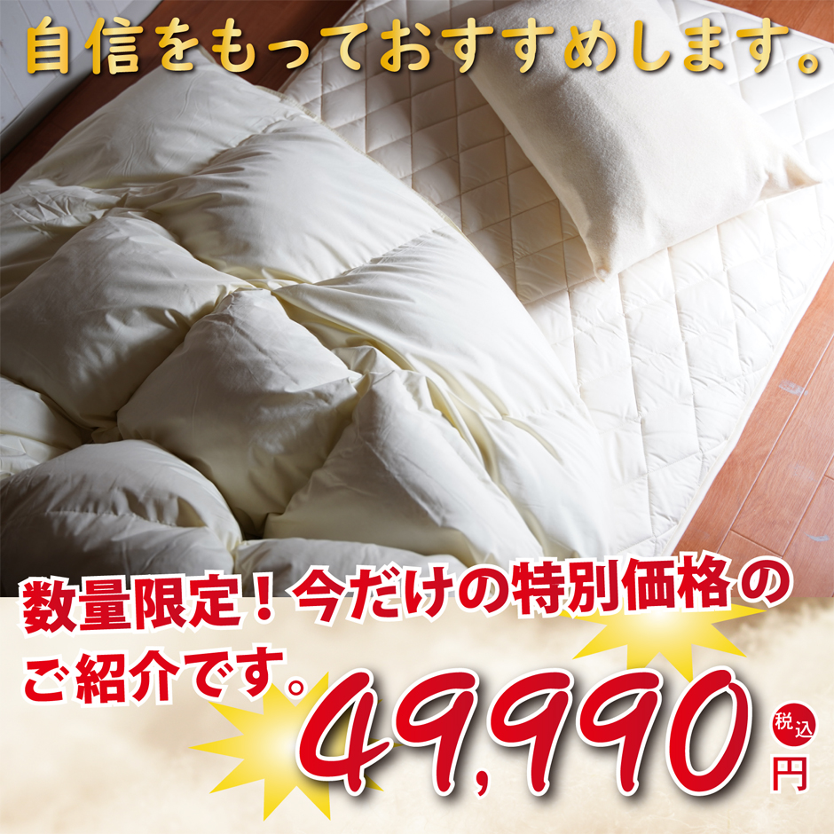 数量限定特別価格49990円