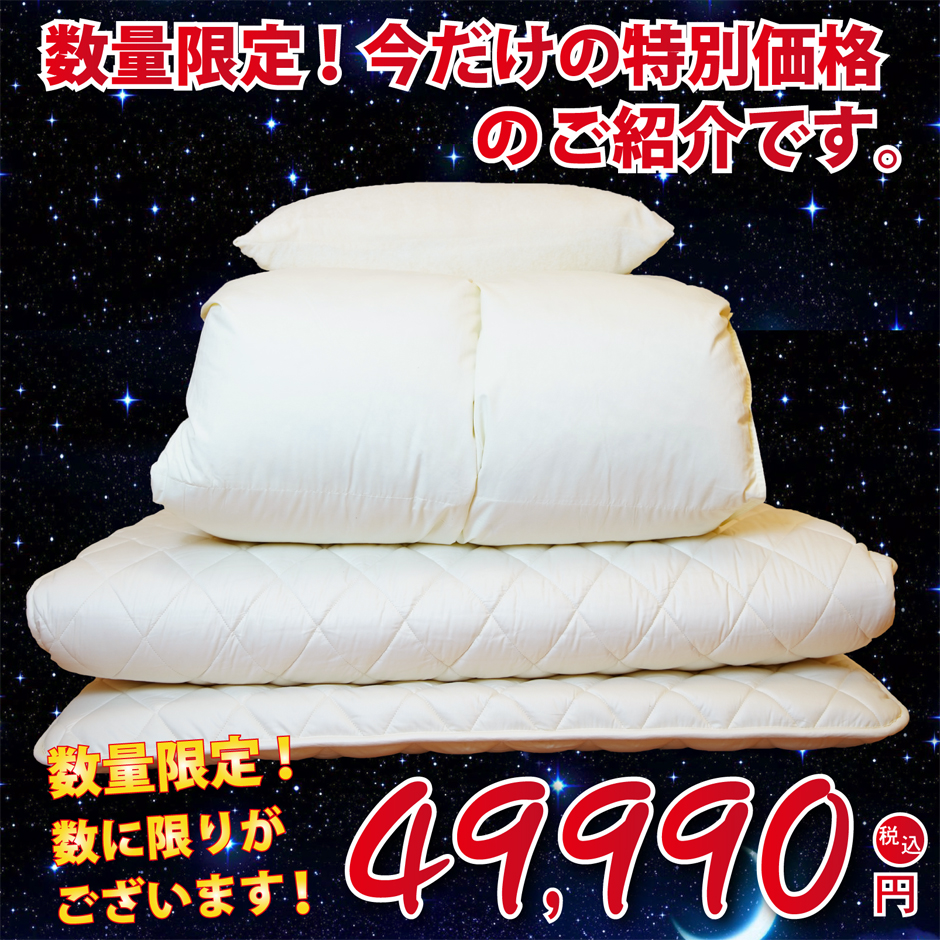 数量限定特別価格 羽毛3点セット シングルサイズ