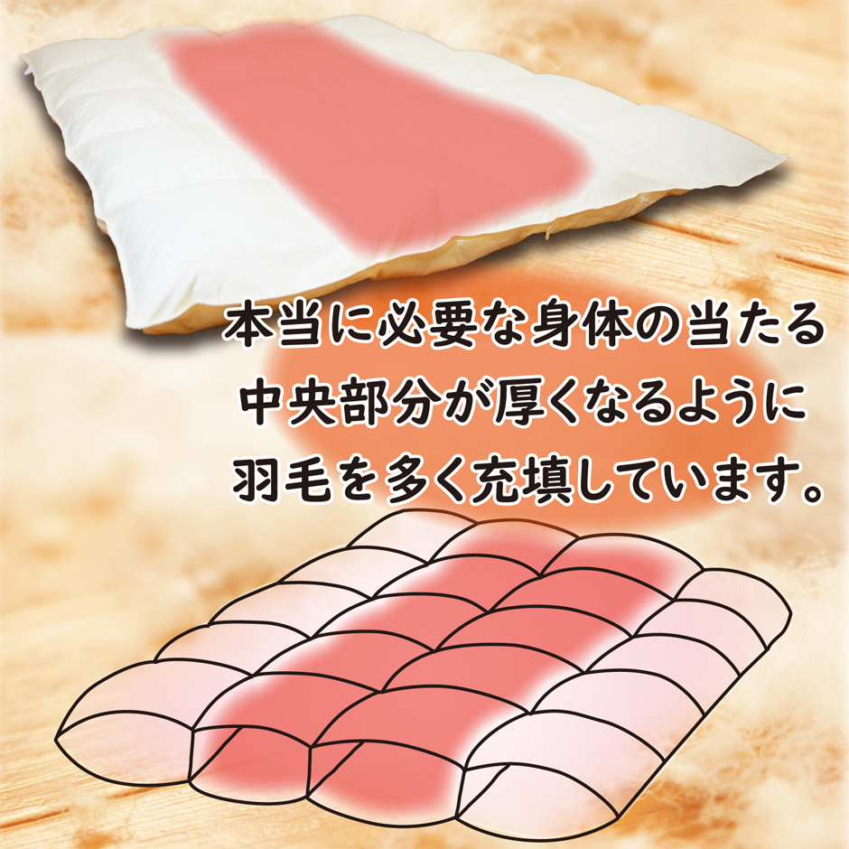 体の当たる中央部分が厚くなるように羽毛を多く充填しています。