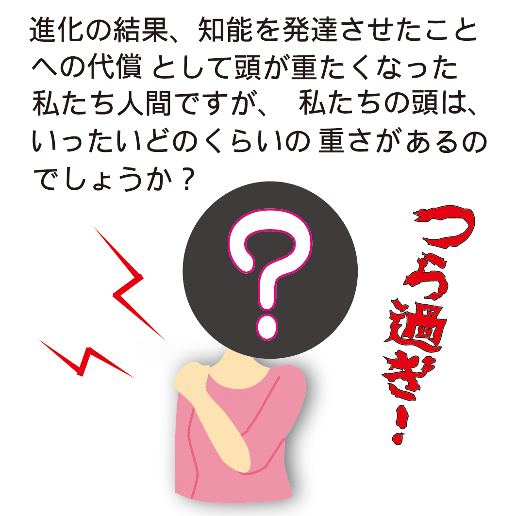 進化の代償として脳が大きくなった人間にとって肩こりや腰痛は必然なのです。