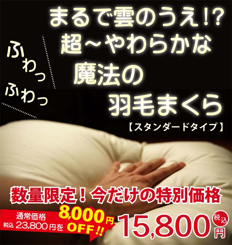 魔法の羽毛枕 15800円