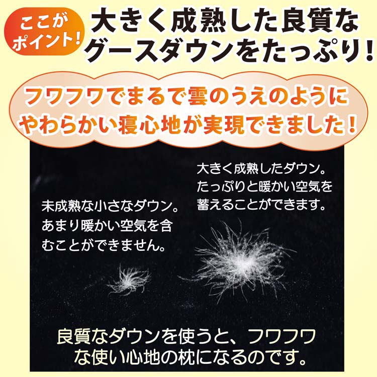 大きく成熟した羽毛を使った最高の羽毛枕です。