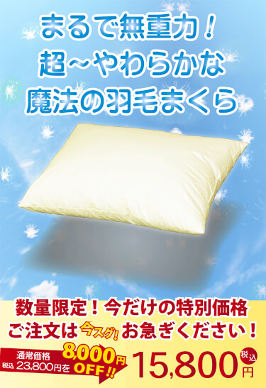 魔法の羽毛枕スタンダードタイプ 特別価格15800円