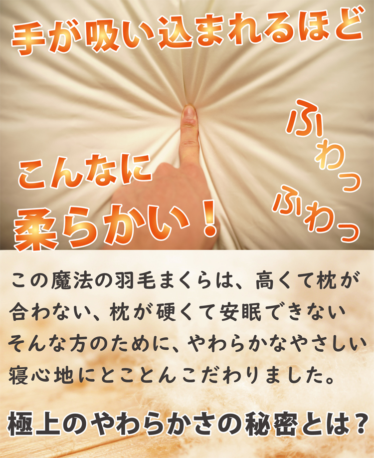 羽毛枕の極上の柔らかさの秘密とは