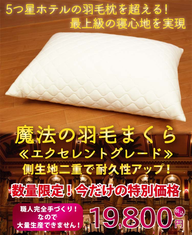 魔法の羽毛枕 エクセレントモデル 19800円