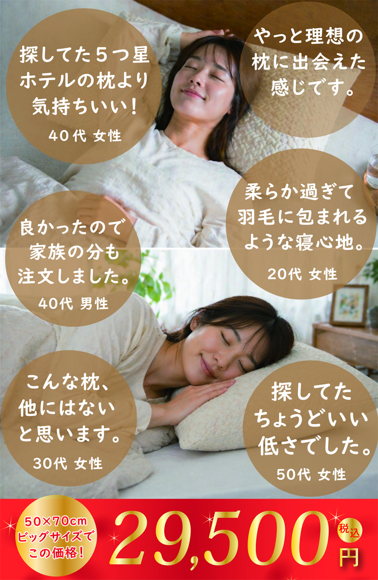 探して5つ星ホテルの枕より、快適な羽毛枕です。