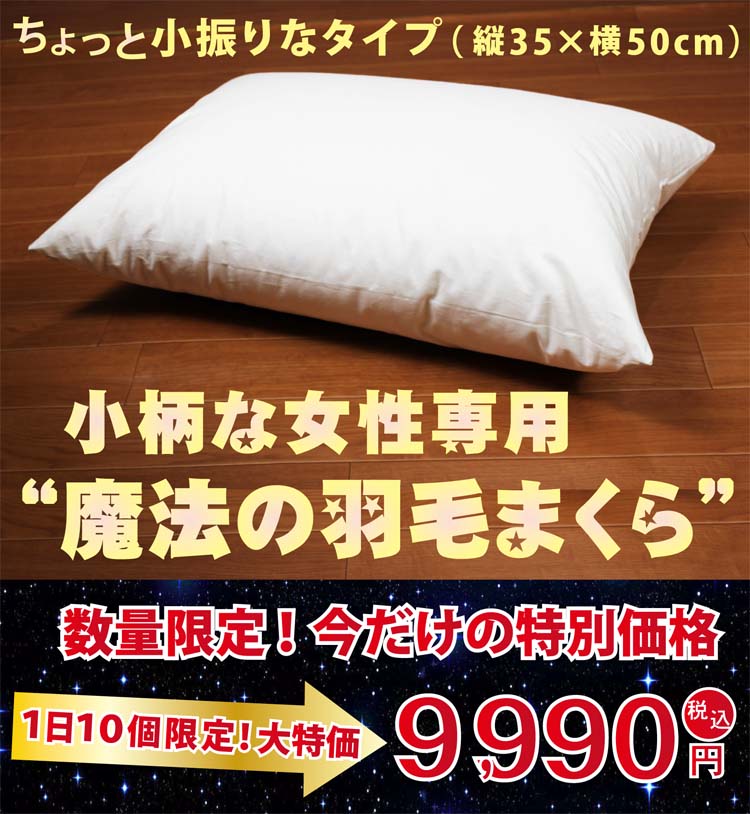 魔法の羽毛枕 小さいサイズ 9990円