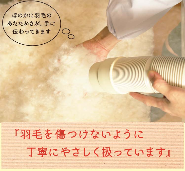 羽毛を傷つけないように優しく扱っています。