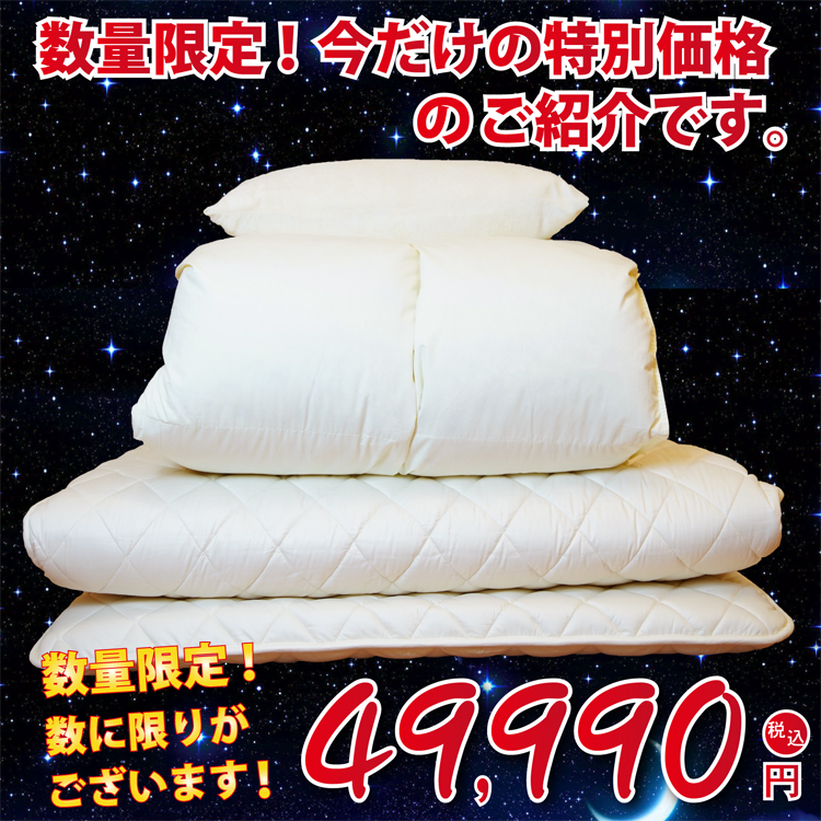数量限定特別価格 羽毛布団3点セット
