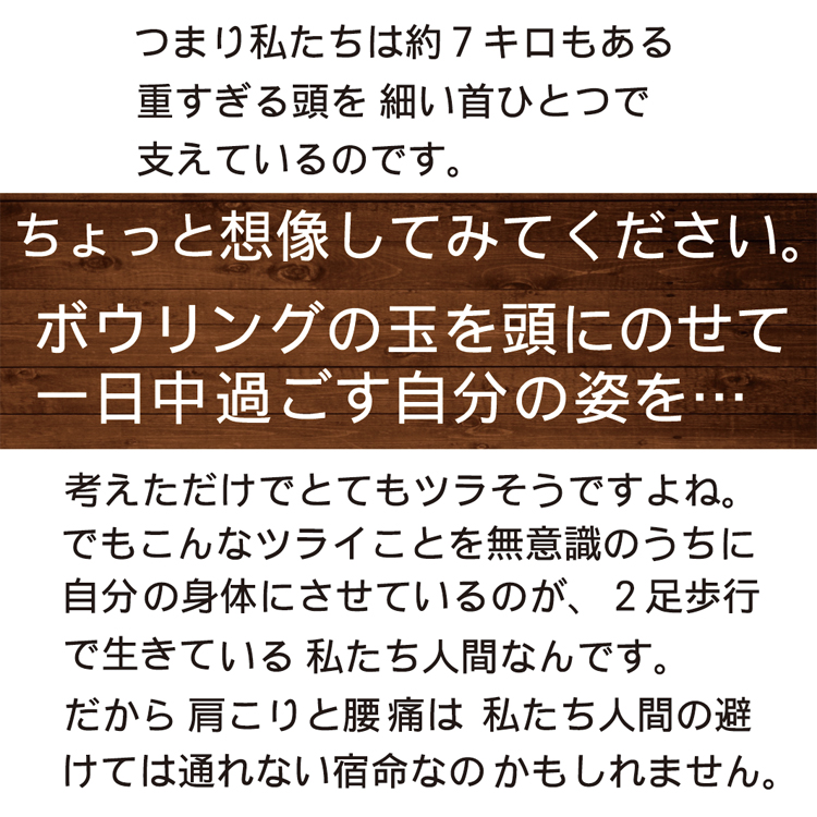 重い頭を細い首で支えているので、肩や腰に負担が掛かります。