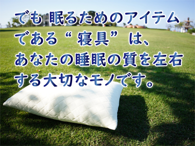 手づくり羽毛工房いい寝 厳選3