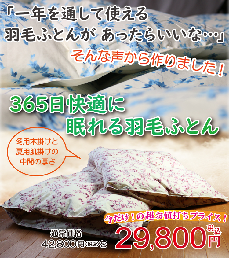 一年中使える羽毛布団 シングルサイズ 29800円
