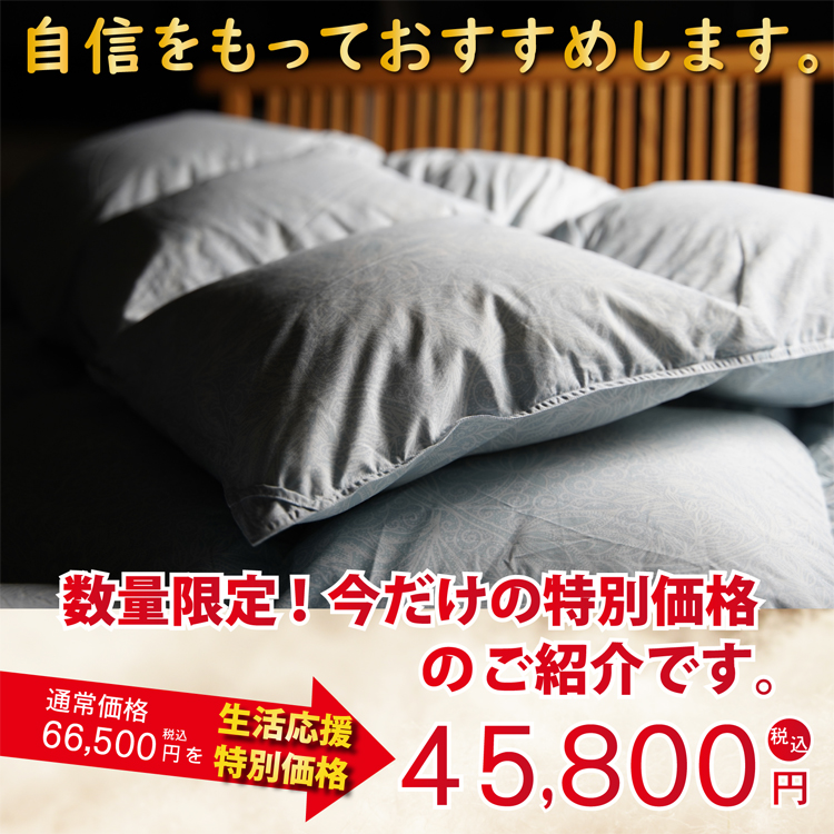 数量限定羽毛掛け布団 特別価格45800円