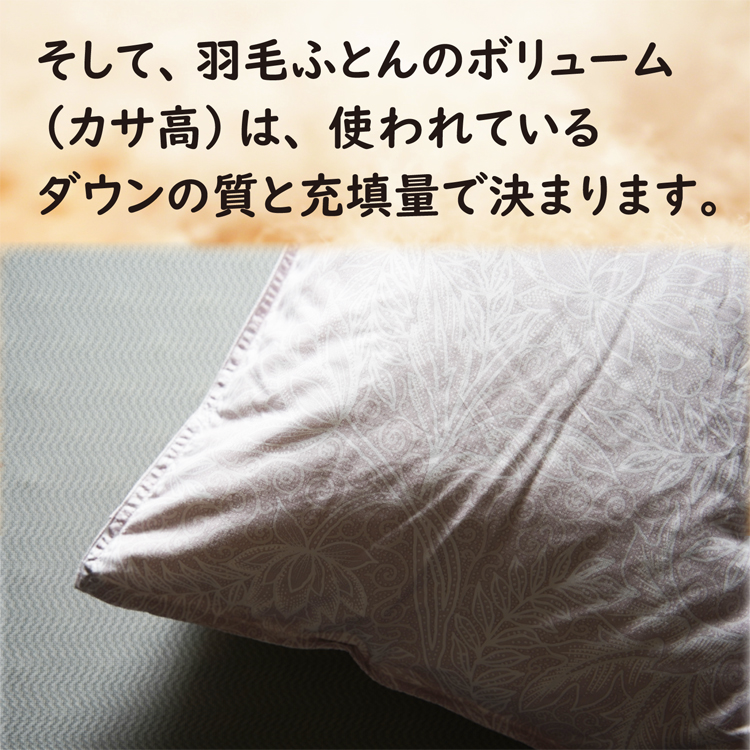 羽毛布団のカサ高は、ダウンの質と量で決まります。