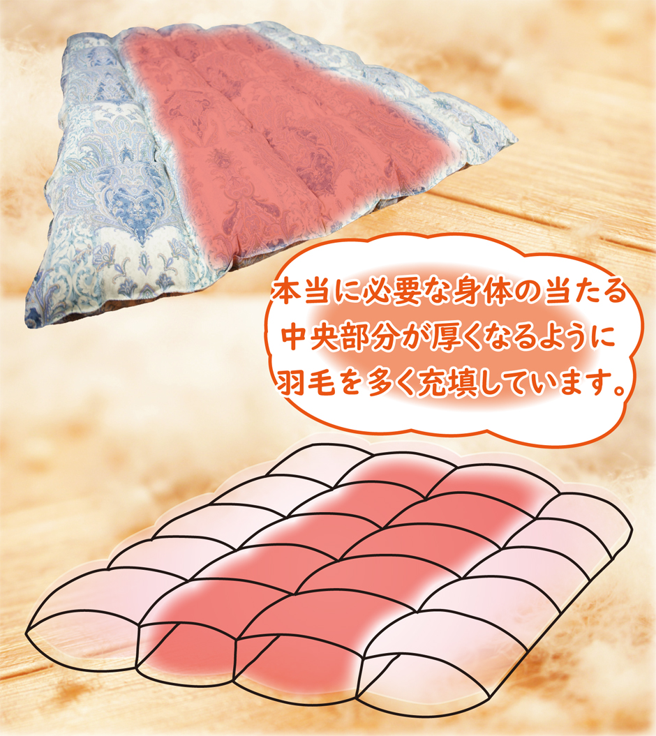 本当に必要な体の当たる中央部分が厚くなるように羽毛を多く充填しています。