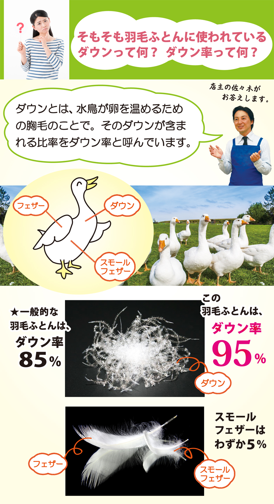 羽毛ふとんのダウン率とは？