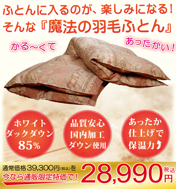 ダウン85％シングルサイズ羽毛布団