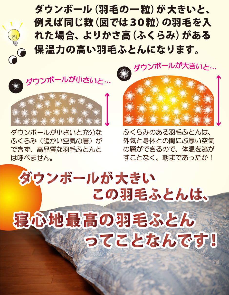ダウンを大幅に増量しているから。