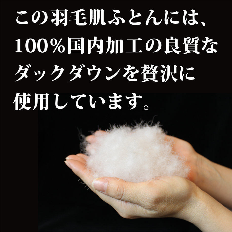 H̍_Egp