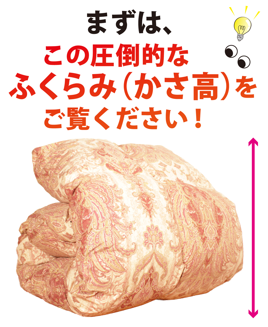この羽毛布団の圧倒的なカサ高をご覧ください。