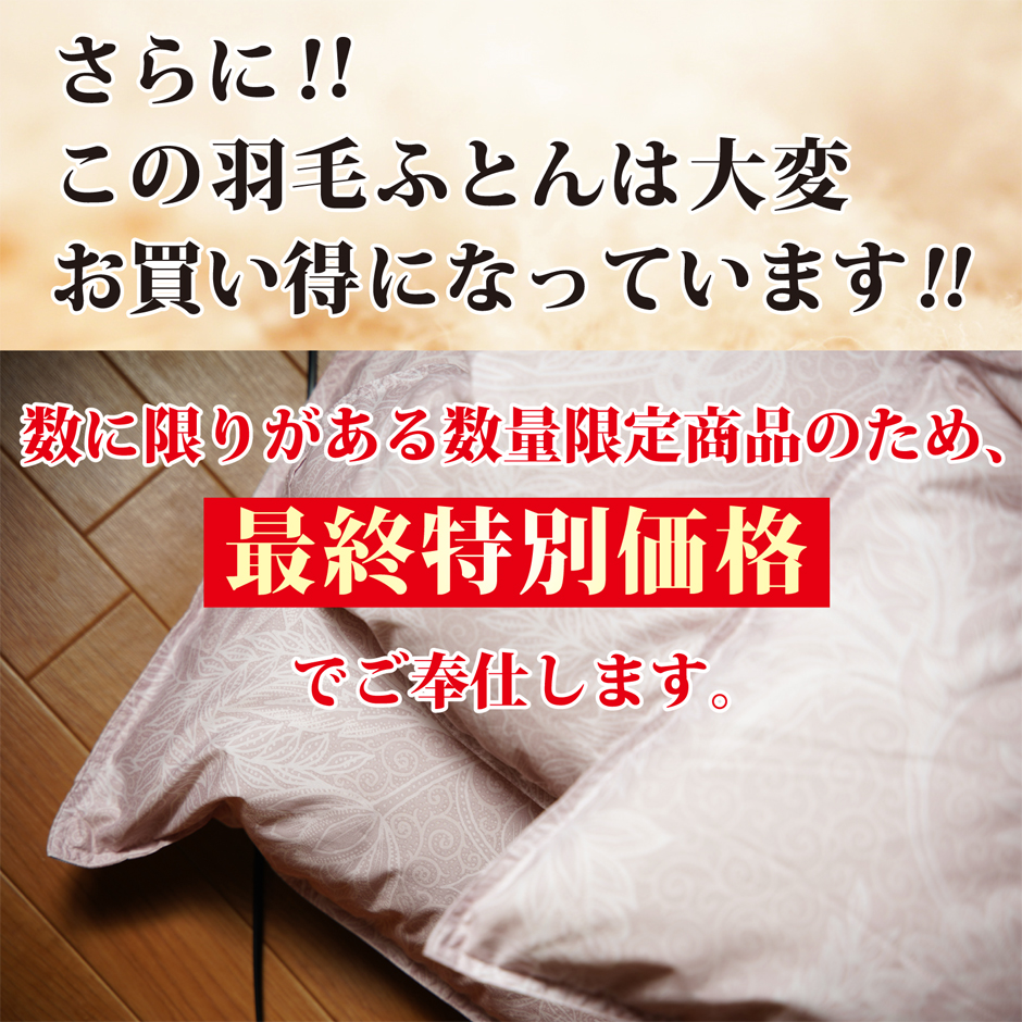 数量限定特別価格 羽毛布団シングルサイズ