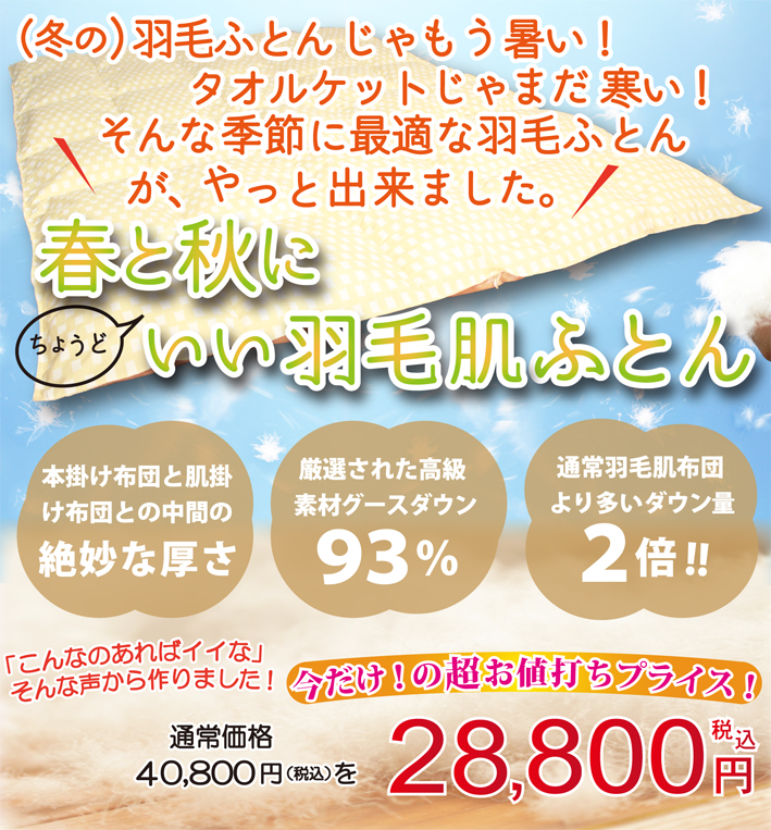 365日快適に眠れる羽毛布団 シングルサイズ