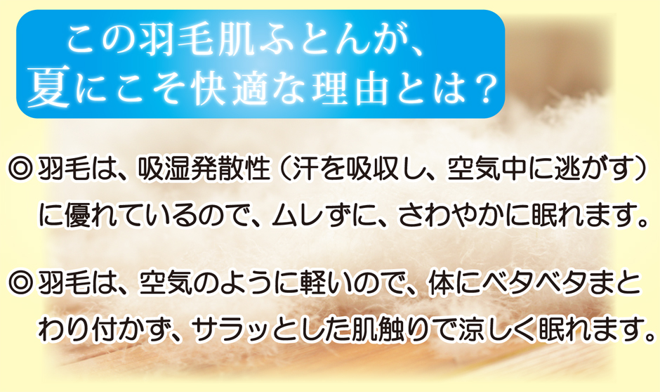 羽毛肌布団(ダウンケット）が夏に快適な理由とは