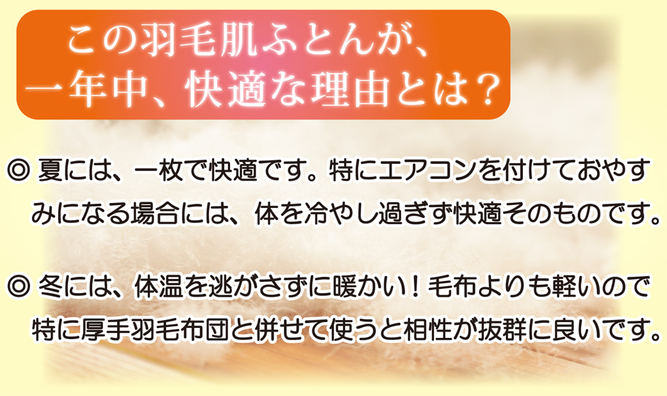 一年中快適に使える羽毛肌ふとん、その理由とは？