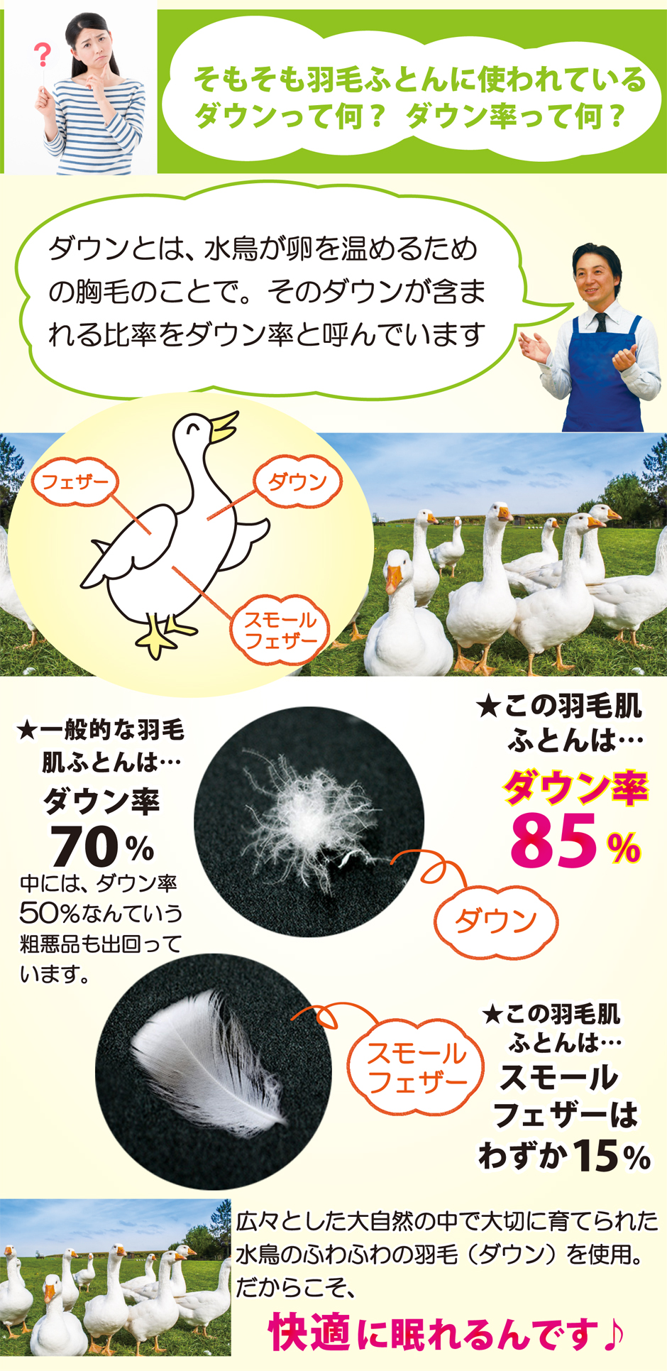 羽毛布団に使われているダウンの種類の解説