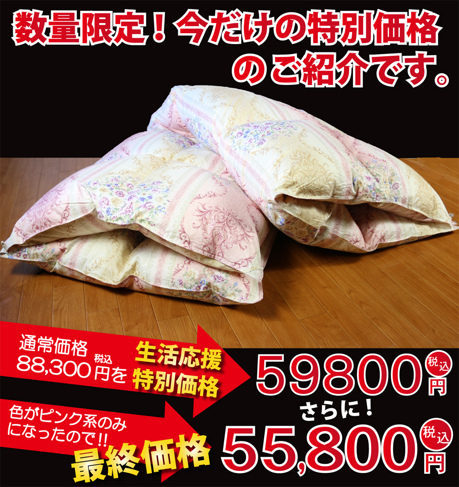 おすすめ羽毛掛け布団 シングルサイズ 特別価格59800円