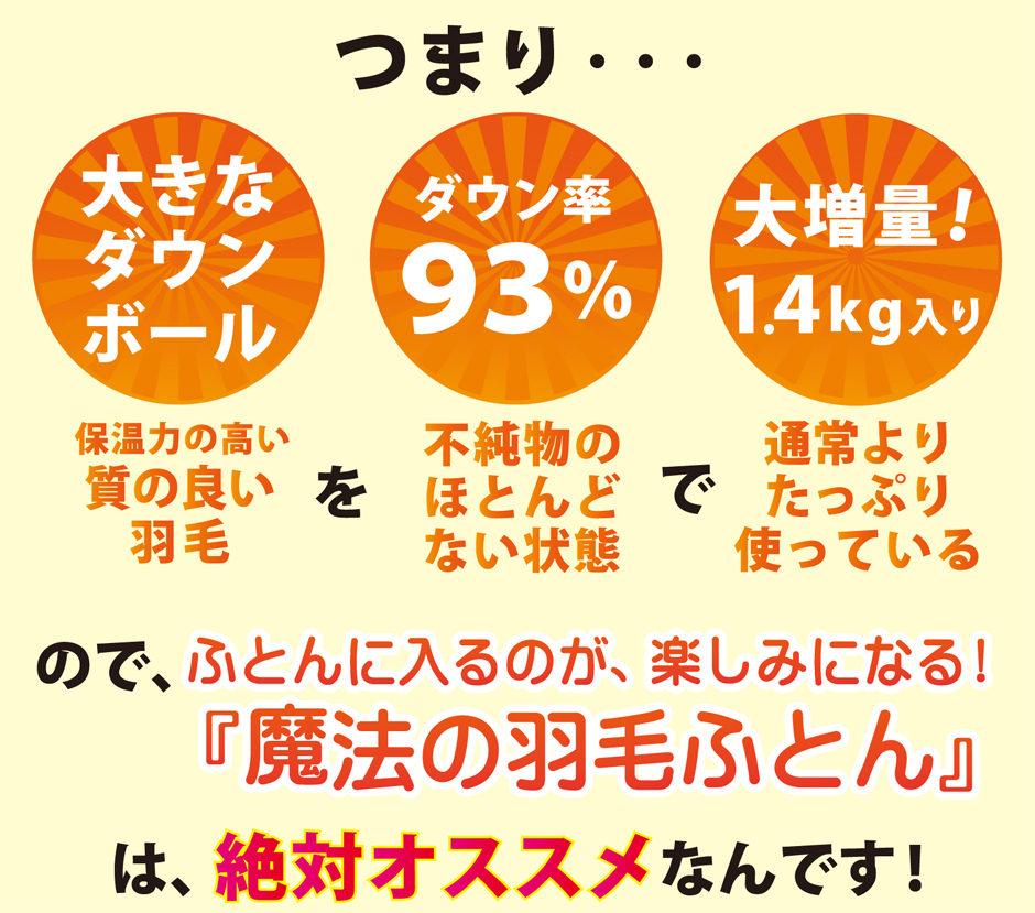 羽毛布団シングル39,800円のトップ画像